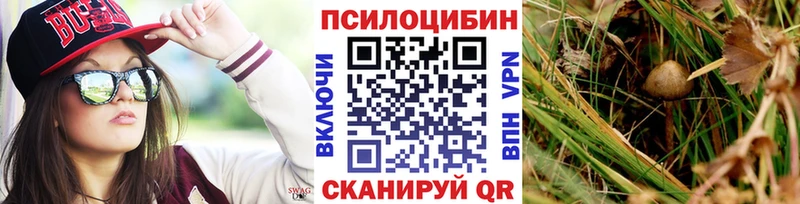 МЕГА зеркало Абдулино Псилоцибиновые грибы Psilocybe