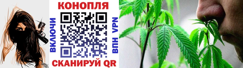 где продают наркотики  Абдулино  Канабис индика 